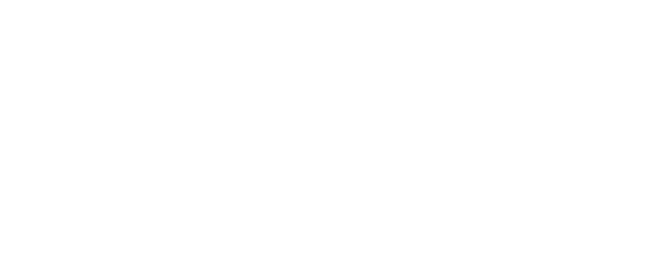 The Wellness City